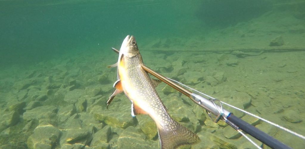 DCIM100GOPROGOPR0246.JPG